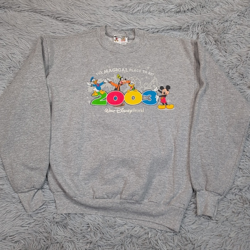 Vintage Walt Disney World Sweatshirt Girls XL Gray Comfort Casual Cozy 2003